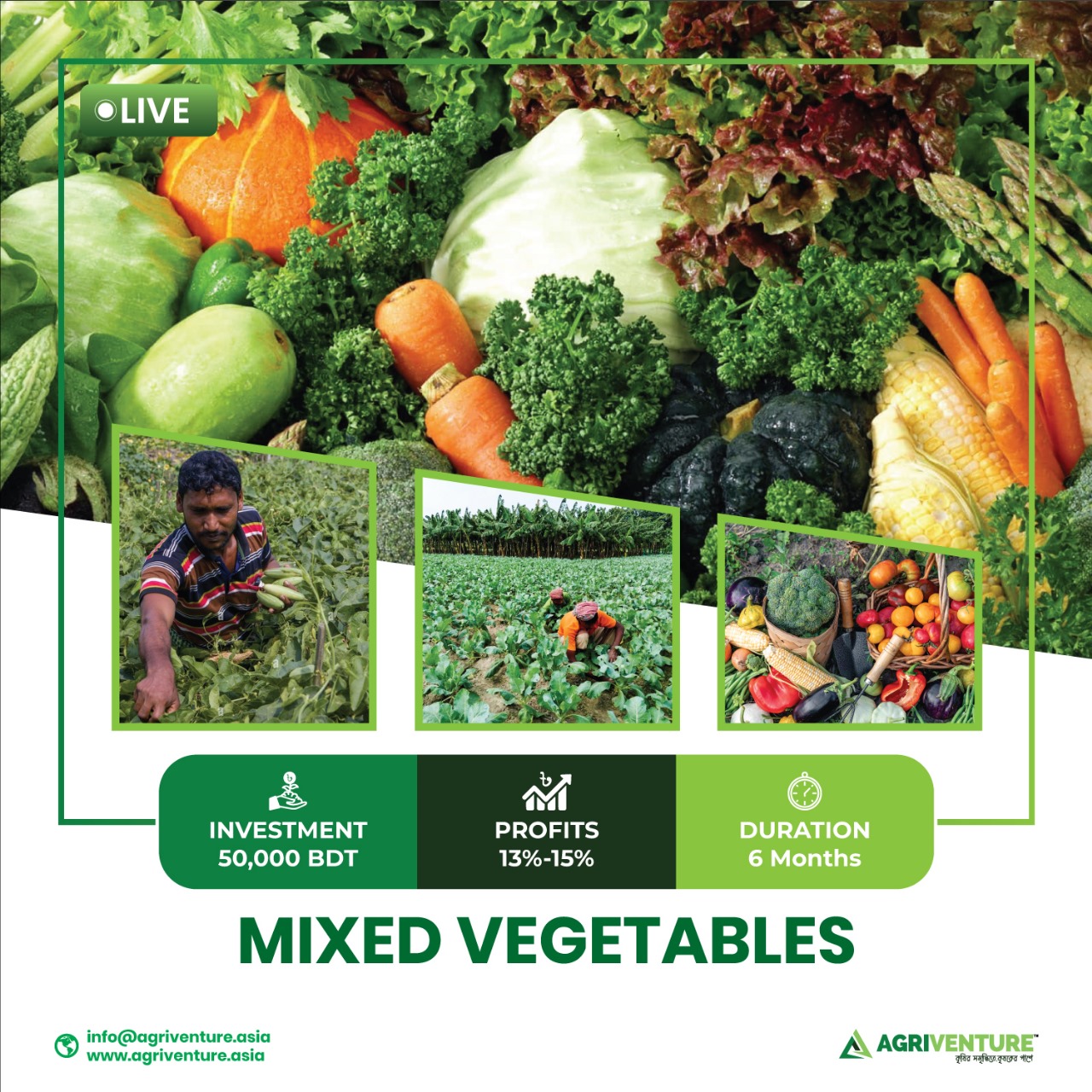 Mixed Vegetables